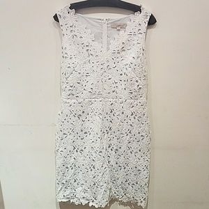 NWT Loft Dress
